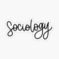 Job Opportunities for Sociology Graduates