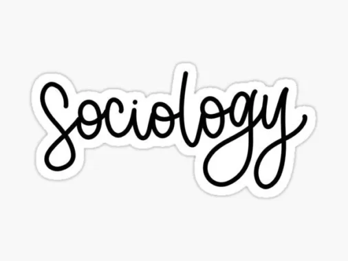 Job Opportunities for Sociology Graduates