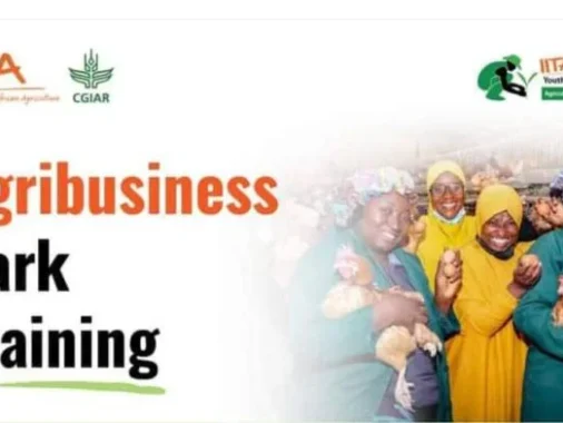 IITA Agribusiness Training Program