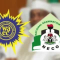 Top 10 Tips for Writing Essays in WAEC/NECO English Exams