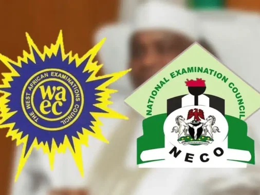 Top 10 Tips for Writing Essays in WAEC/NECO English Exams