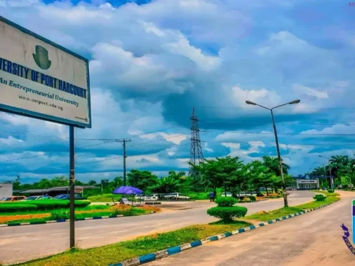 The 2024/2025 UNIPORT Basic Studies Admissions List is now available.