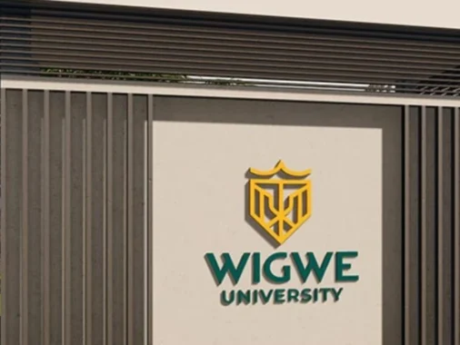 Admission: Wigwe University 2024/2025 Admission List is Out!!