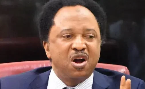 Shehu Sani's prediction of the extinction of polytechnics and colleges of education based on JAMB scores