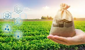 Agricultural Business and Financial Management