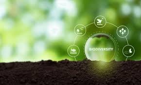 Biodiversity Conservation and Utilization