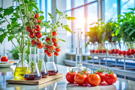 Plant Physiology and Crop Production