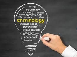 Criminology and Security Studies