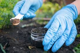 Crop Soil and Environmental Science