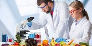 Food Science and Technology/Engineering