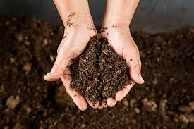 Soil Science and Land Management