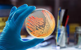 Microbiology and Industrial Biotechnology