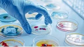 Microbiology and Industrial Biotechnology