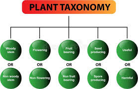 Plant Science and Taxonomy