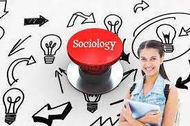 Sociology Education