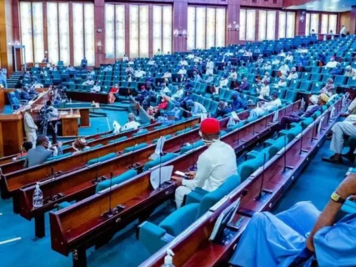 "Cancel 2025 UTME Now!" — Lawmaker Slams JAMB, Claims Integrity Is Lost