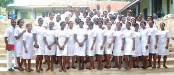 Top Nursing Schools in Nigeria That Don't Require JAMB (2025 Guide)