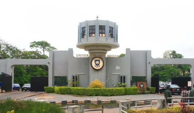 University of Ibadan current VC,  Prof Peter Olapegba 