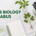Biology laboratory materials representing the JAMB Biology syllabus